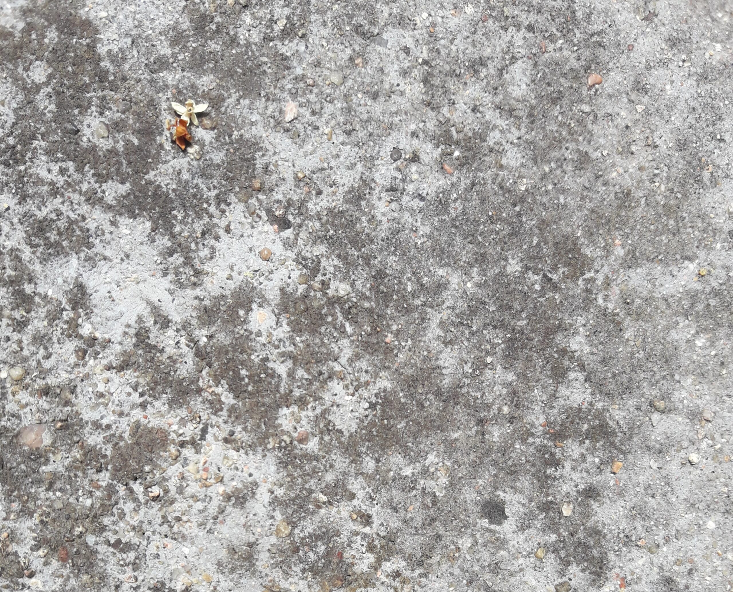 Close up photo of a grey pavement