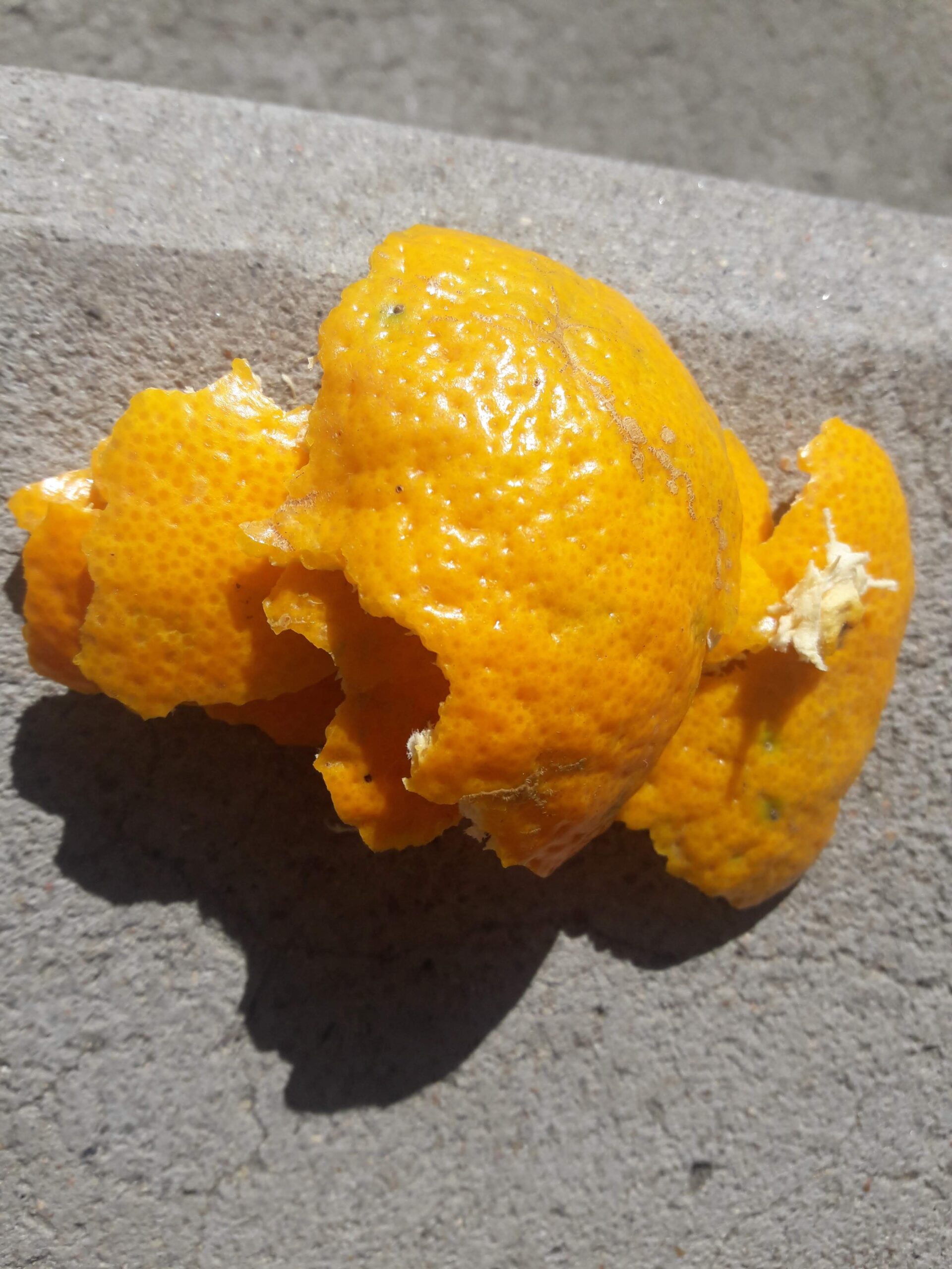 Orange peel