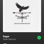Sugar by sister sparrow