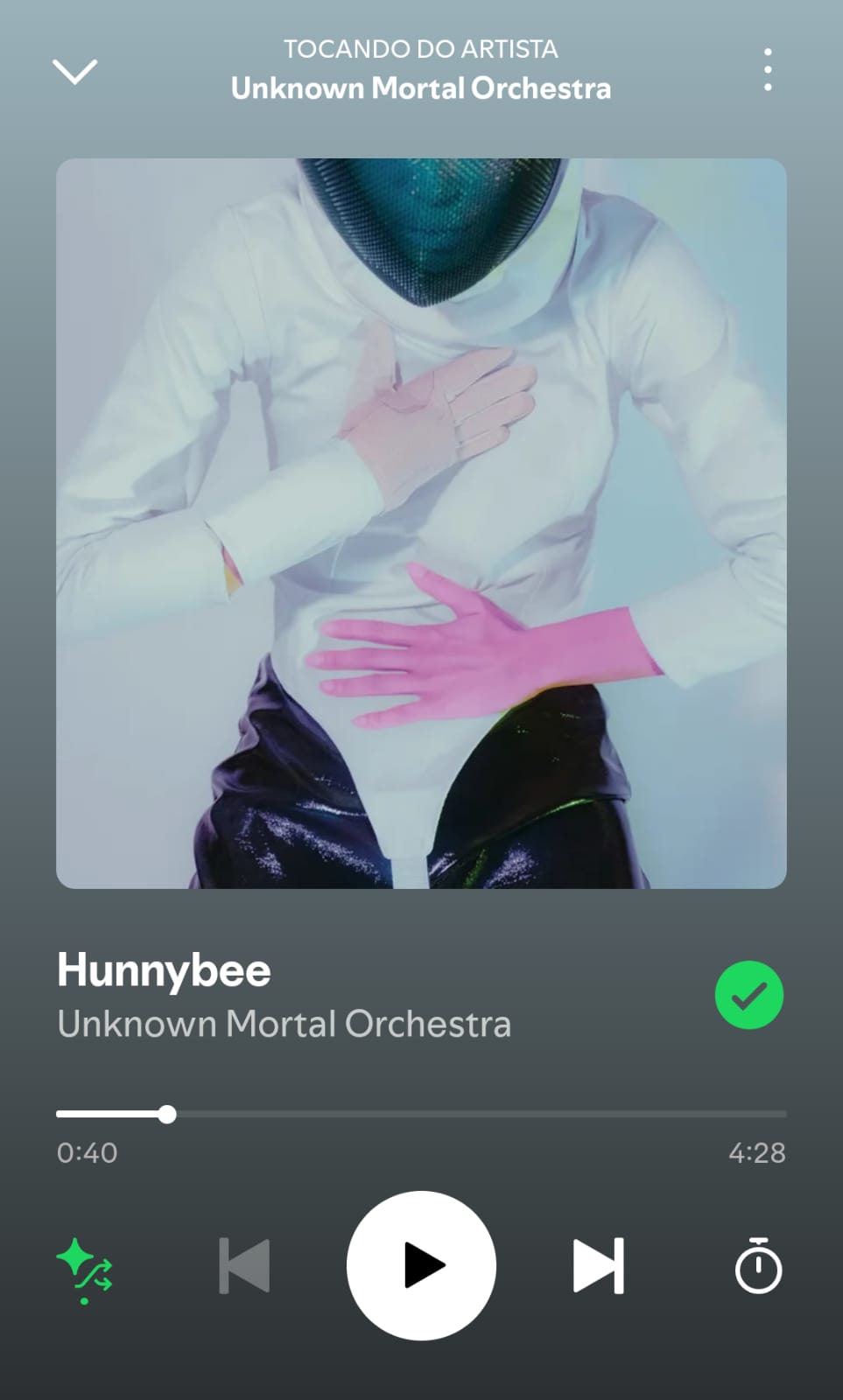 Hunnybee by Unknown mortal orchestra on 2025 in songs