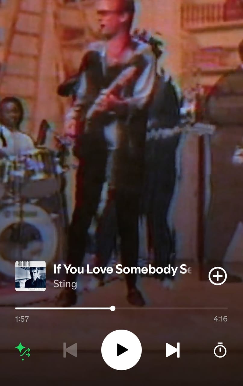 If You Love Somebody Set Them Free by Sting on 2025 In Songs