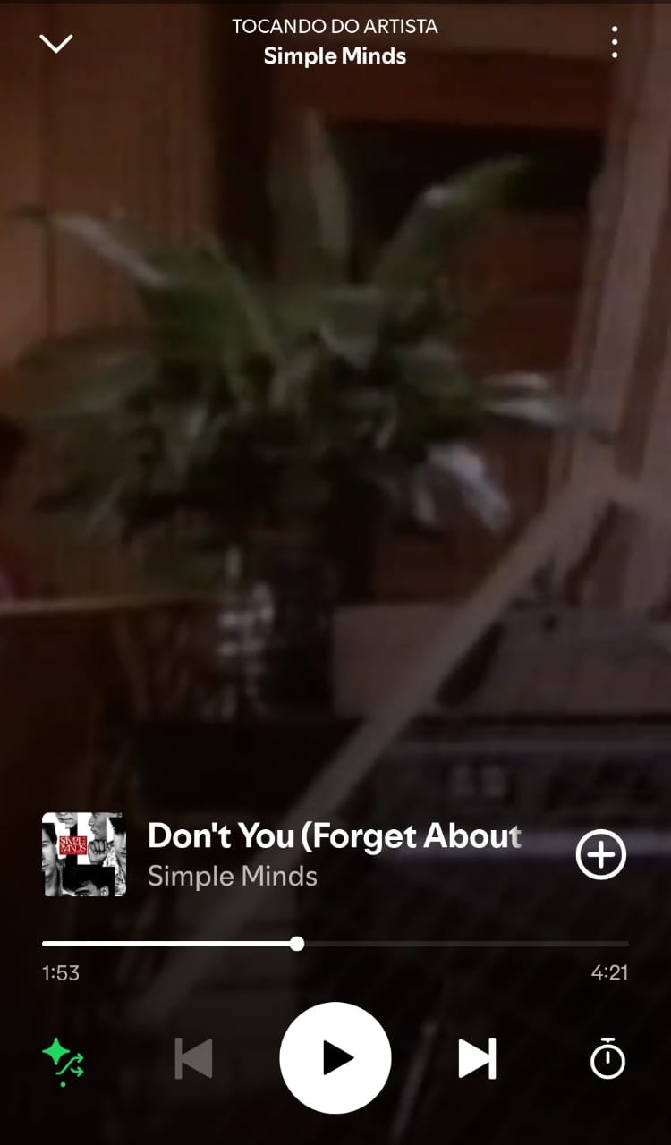 Don't You (Forget About Me) by Simple minds on 2025 In Songs