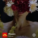 Flowers by Deluxe on 2025 InSongs