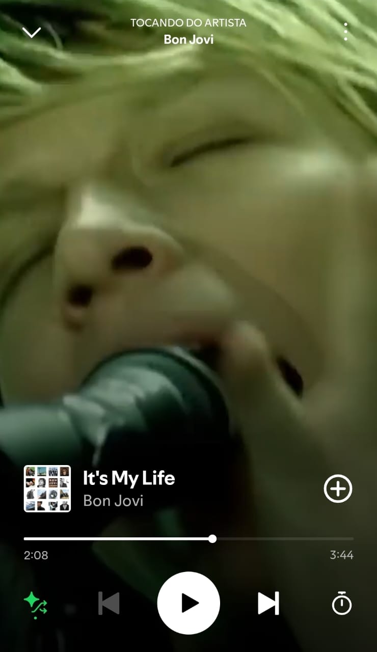 It's My Life by Bon Jovi on 2025 In Songs