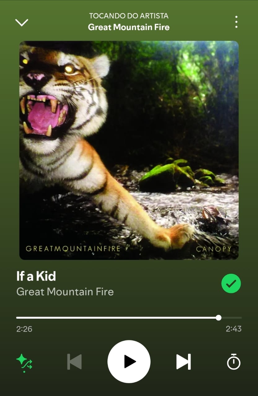 If a Kid by Great Mountain Fire on 2025 In Songs