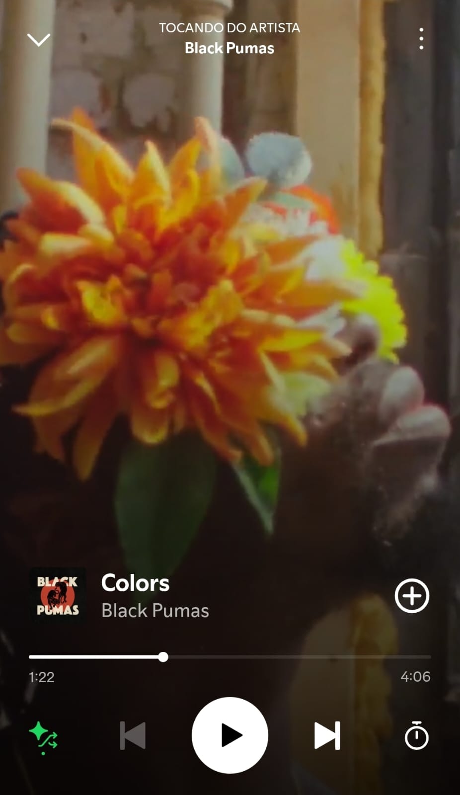 Colors by Black Pumas on 2025 In Songs