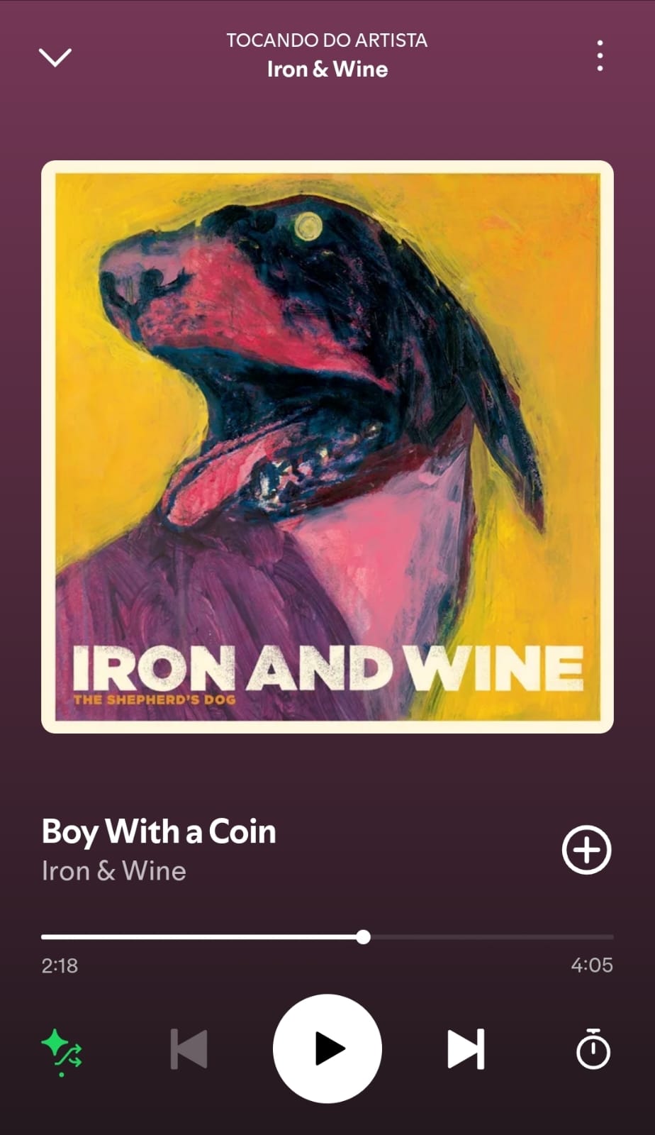 Boy with a Coin by Iron & Wine on 2025 In Songs