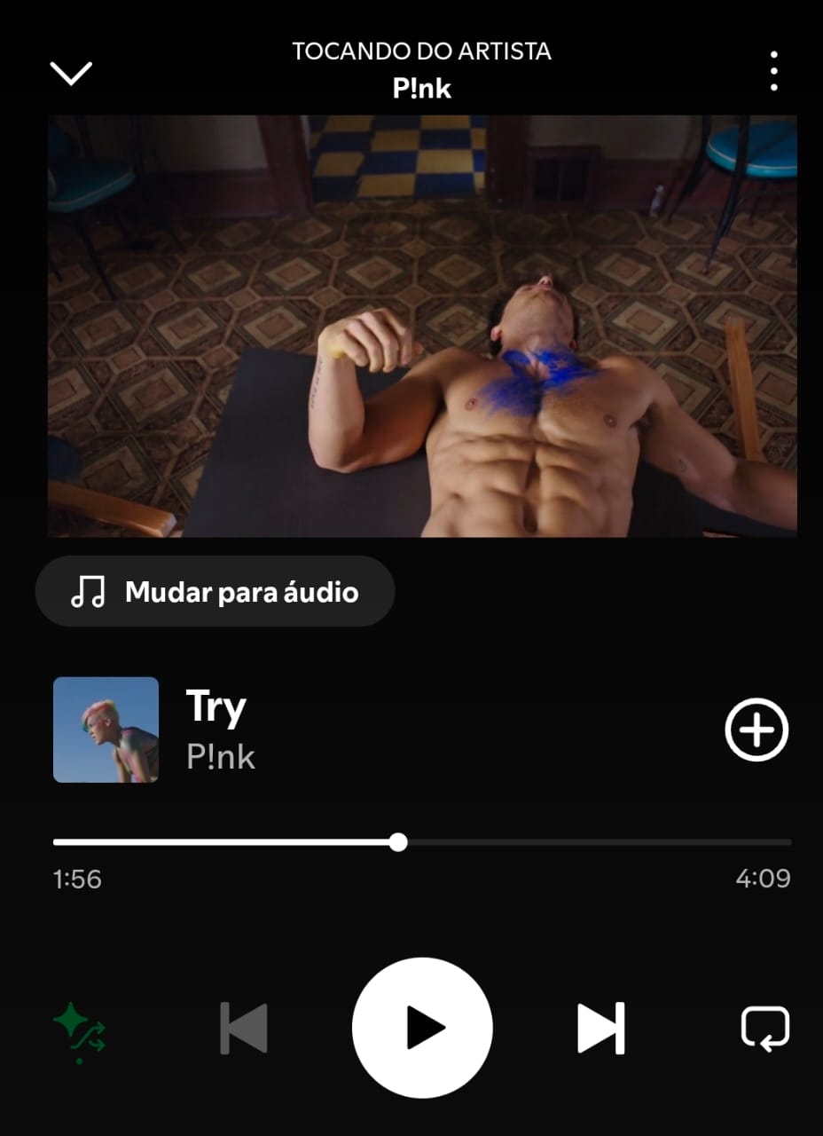 Try by P!nk on 2025 In Songs