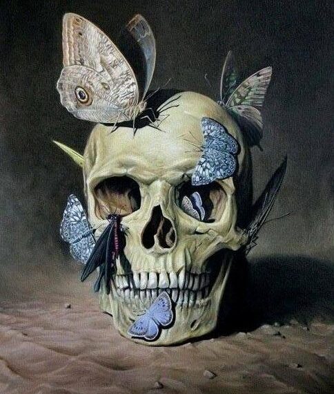 The butterfly symbolism in art and design