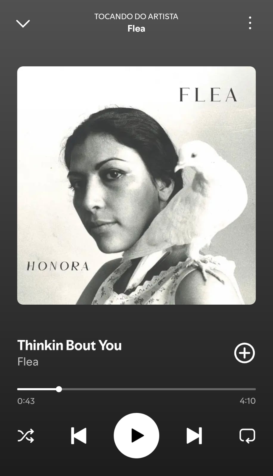 Thinkin Bout You by Flea on 2026 In Songs