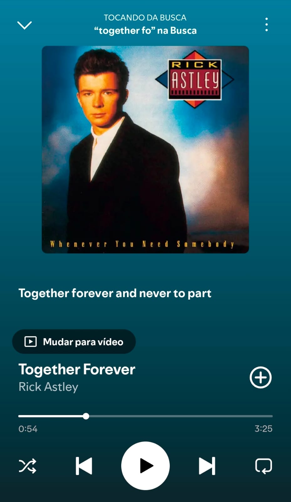 Together Forever by Rick Astley on 2026 In Songs