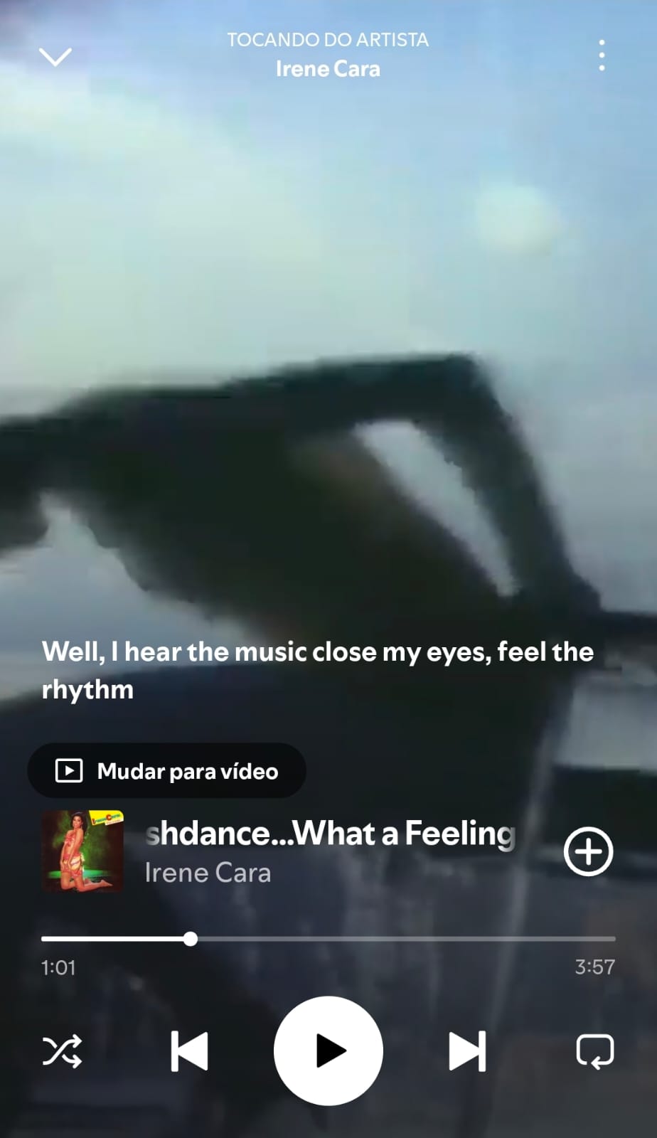 Flashdance What A Feeling by Irene Cara on 2026 In Songs