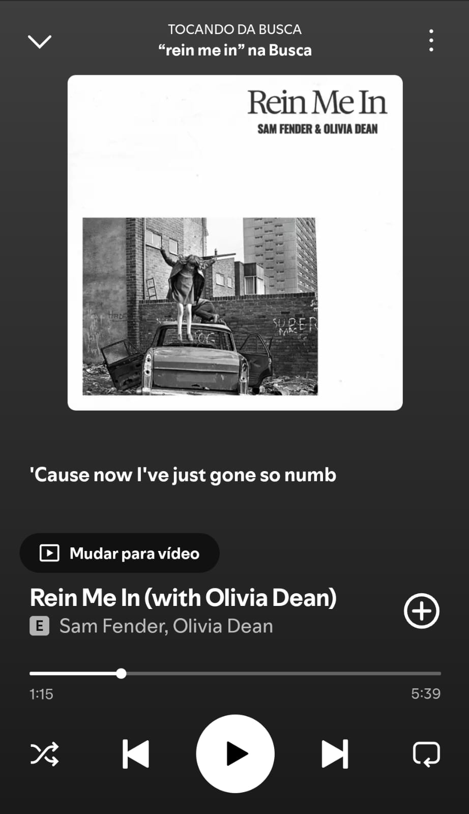Rein Me In by Sam Fender, Olivia Dean on 2026 In Songs