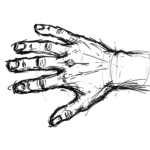 the hand
