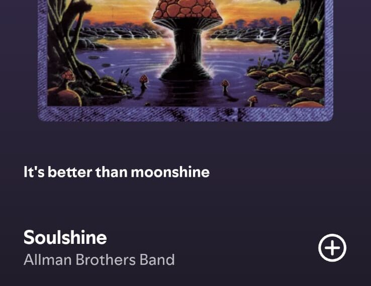 Soulshine by Allman Brothers Band on 2026 In Songs