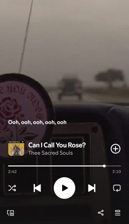 Can I Call You Rose by Thee Sacred Souls on 2026 In Songs