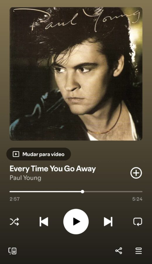 Everytime You Go Away by Paul Young on 2026 In Songs